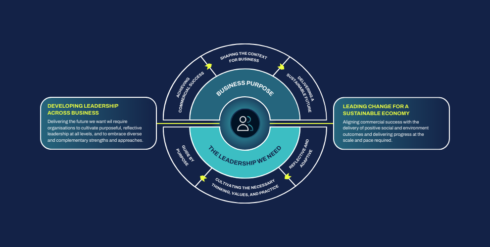 Cambridge Sustainability Leadership Model